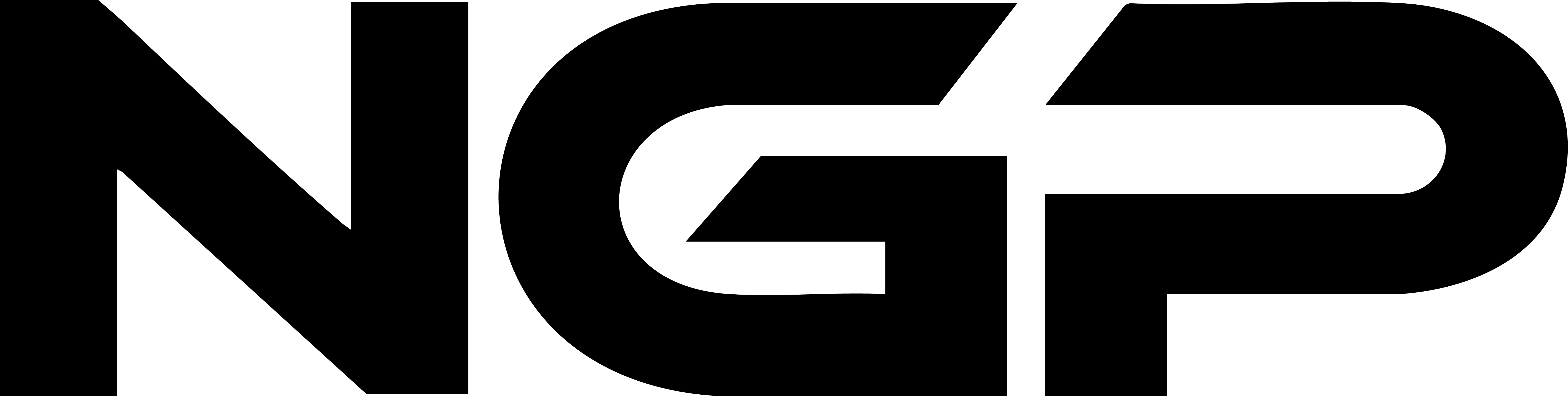 NGP Academy logo